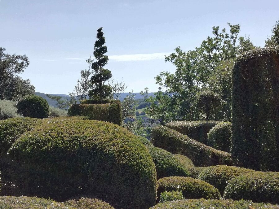 buissons bien taillés