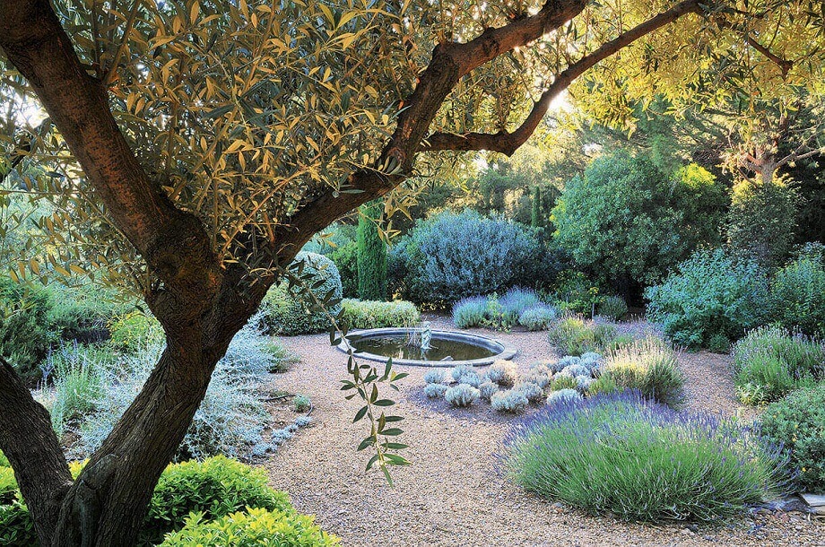 jardin entouré de buissons