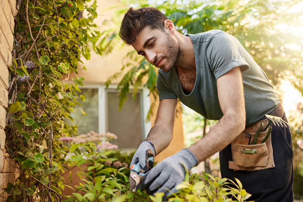 deux personnes qui font du jardin zen
